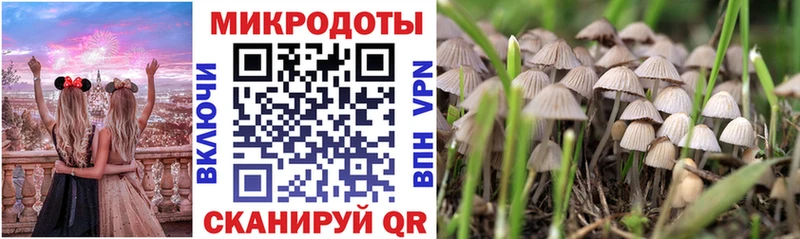 Галлюциногенные грибы Psilocybe  купить   Шиханы 